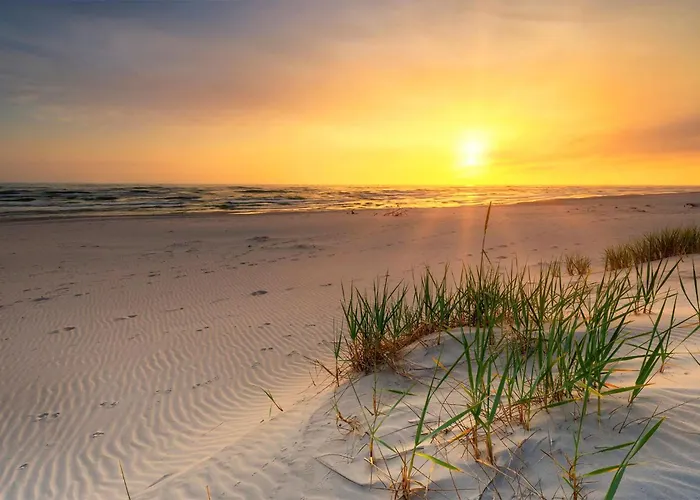 度假居 Awesome In With Kitchen *