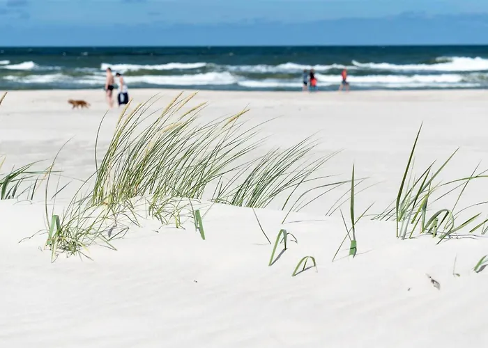 度假居 Awesome In With Kitchen